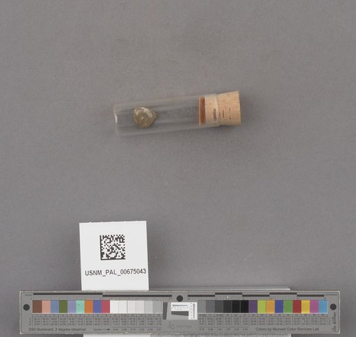 NSF ADBC EPICC TCN