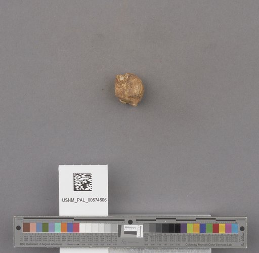 NSF ADBC EPICC TCN