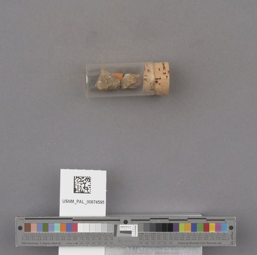 NSF ADBC EPICC TCN