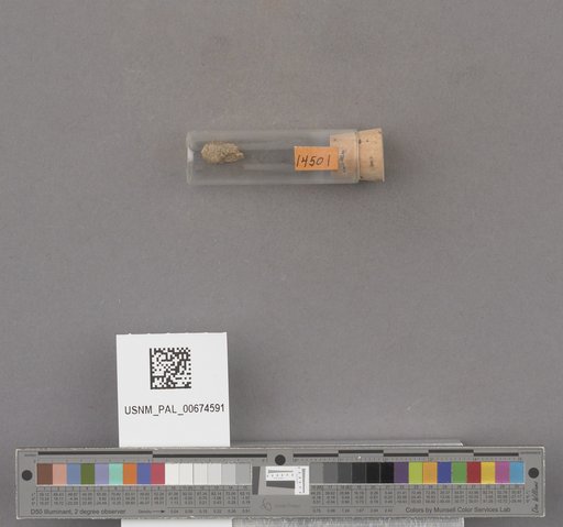 NSF ADBC EPICC TCN