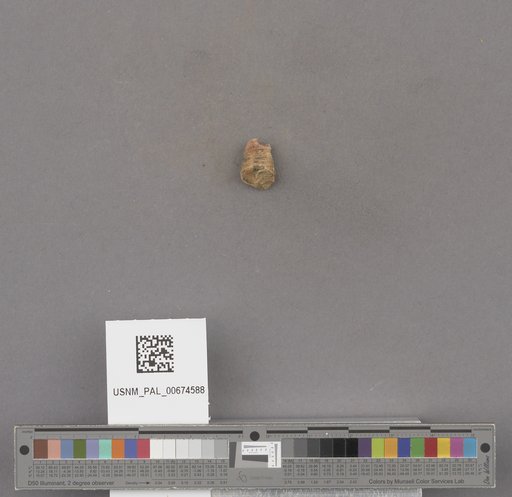 NSF ADBC EPICC TCN