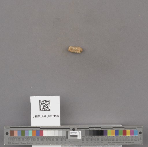 NSF ADBC EPICC TCN