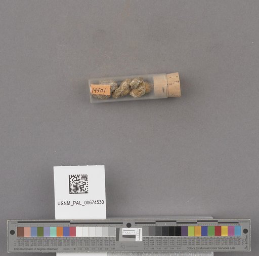 NSF ADBC EPICC TCN
