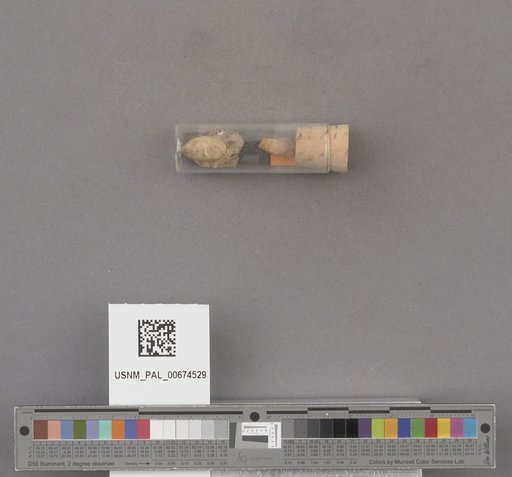 NSF ADBC EPICC TCN