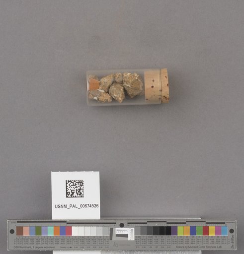 NSF ADBC EPICC TCN