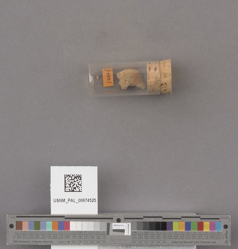 NSF ADBC EPICC TCN