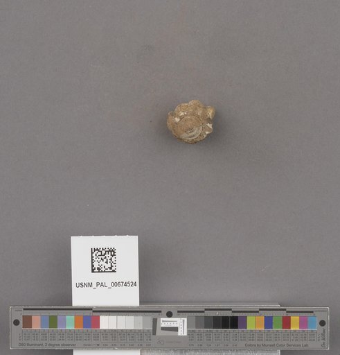 NSF ADBC EPICC TCN