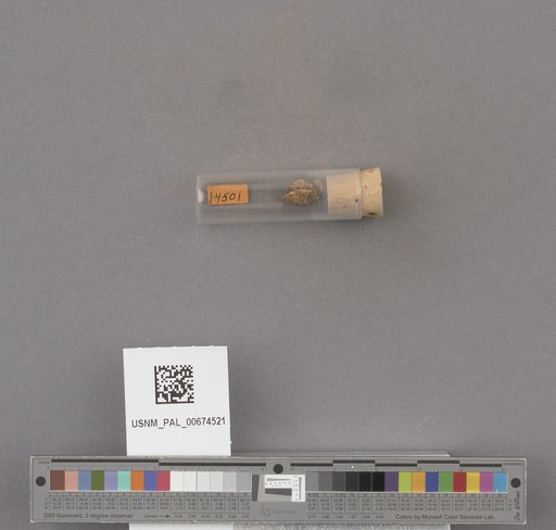 NSF ADBC EPICC TCN