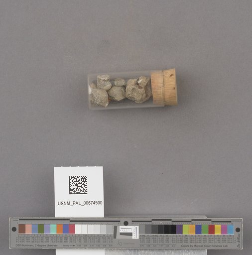 NSF ADBC EPICC TCN