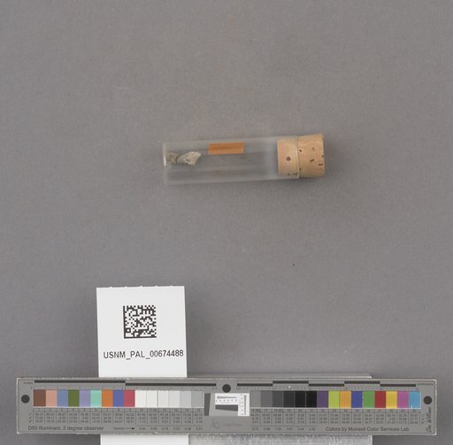 NSF ADBC EPICC TCN