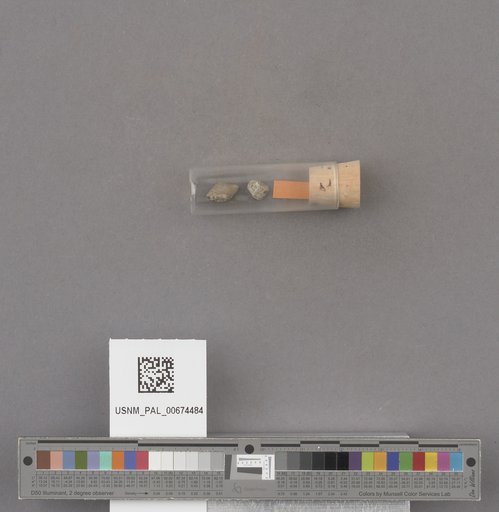 NSF ADBC EPICC TCN