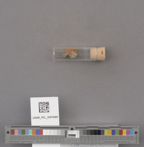 NSF ADBC EPICC TCN