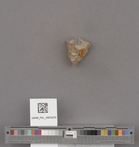 NSF ADBC EPICC TCN
