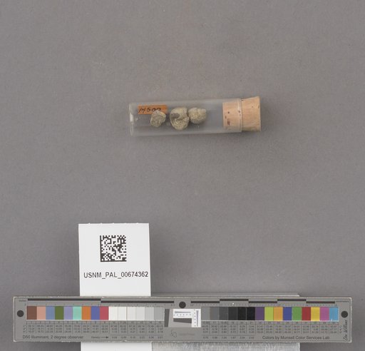 NSF ADBC EPICC TCN