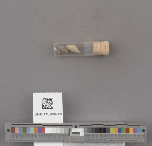 NSF ADBC EPICC TCN