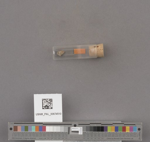 NSF ADBC EPICC TCN
