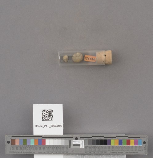 NSF ADBC EPICC TCN