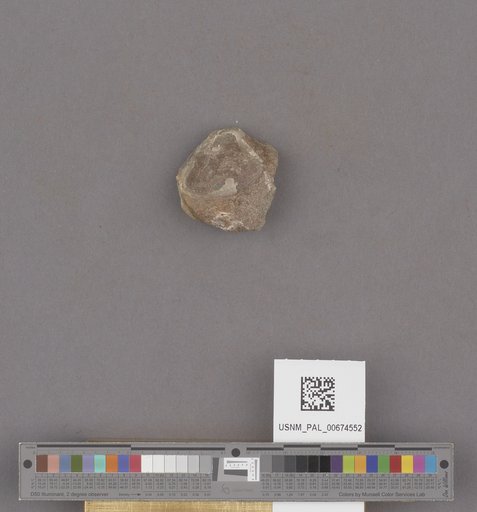 NSF ADBC EPICC TCN