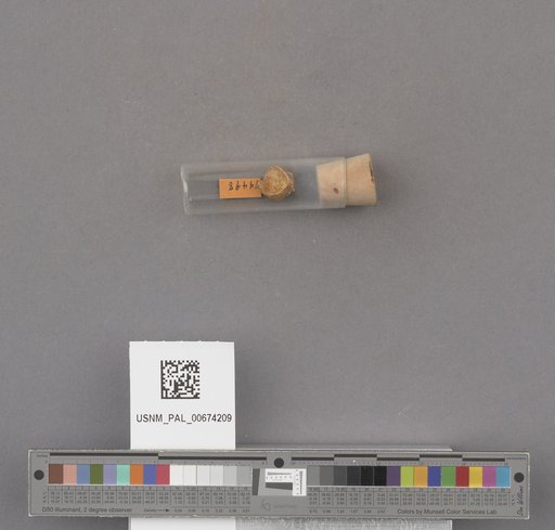 NSF ADBC EPICC TCN