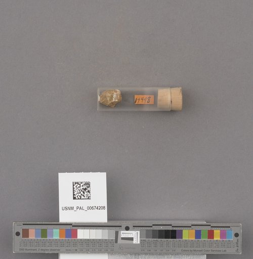 NSF ADBC EPICC TCN