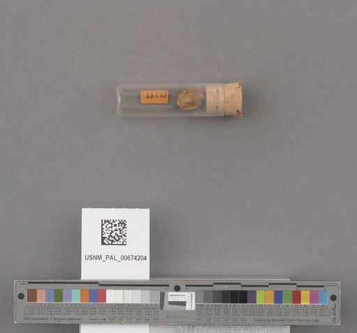 NSF ADBC EPICC TCN
