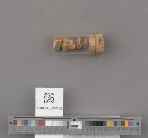 NSF ADBC EPICC TCN