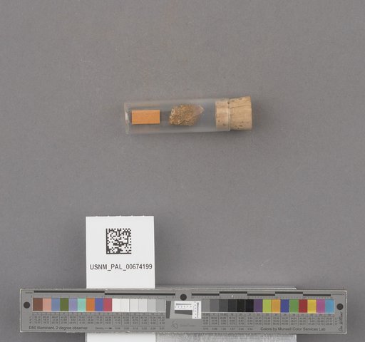 NSF ADBC EPICC TCN