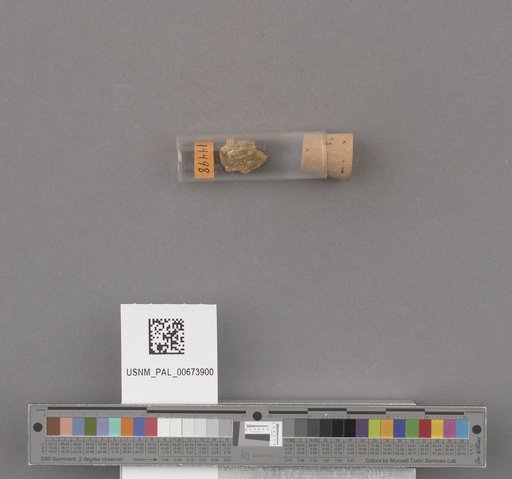 NSF ADBC EPICC TCN