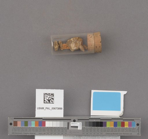 NSF ADBC EPICC TCN