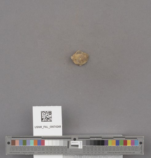 NSF ADBC EPICC TCN