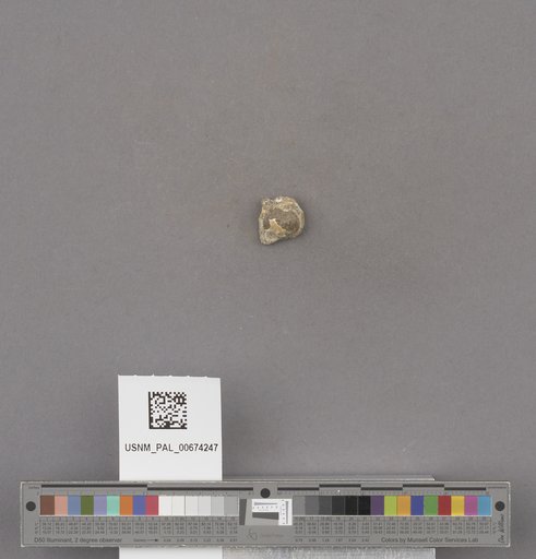 NSF ADBC EPICC TCN