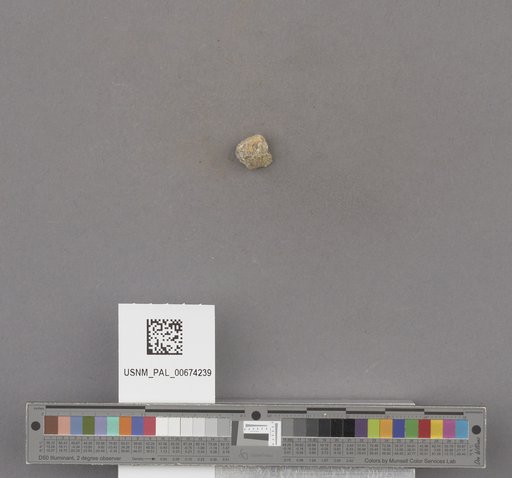 NSF ADBC EPICC TCN