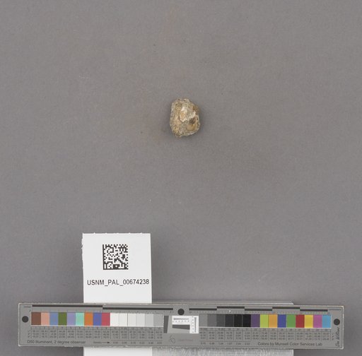 NSF ADBC EPICC TCN