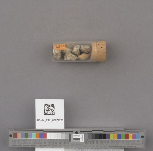 NSF ADBC EPICC TCN