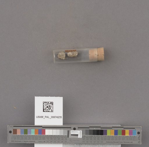 NSF ADBC EPICC TCN