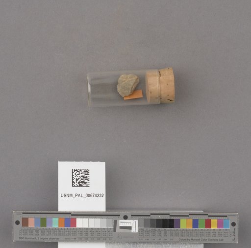 NSF ADBC EPICC TCN