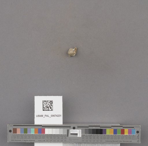 NSF ADBC EPICC TCN