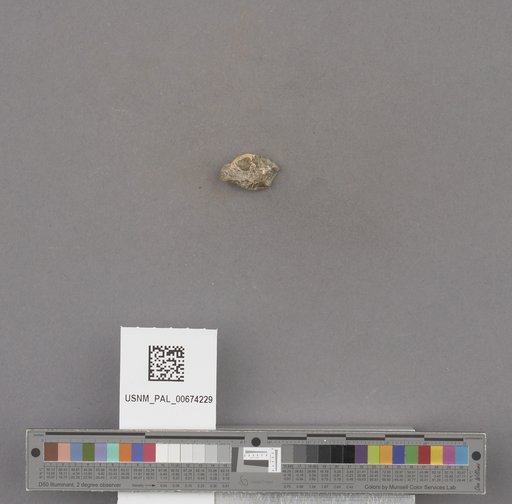 NSF ADBC EPICC TCN