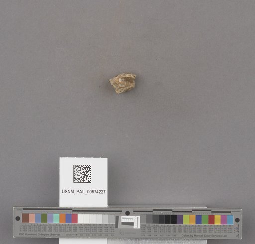 NSF ADBC EPICC TCN