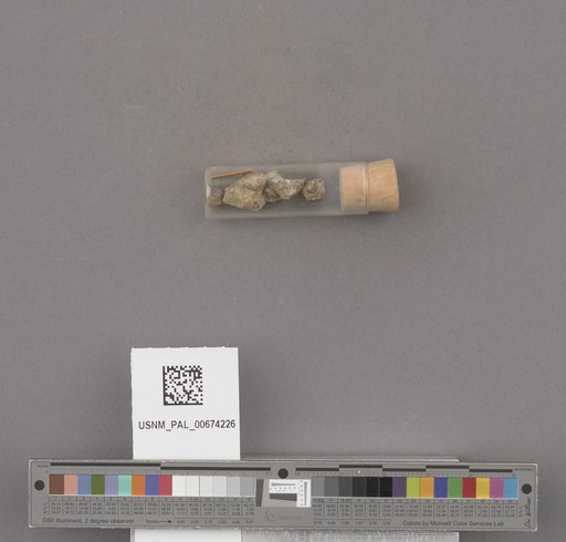NSF ADBC EPICC TCN