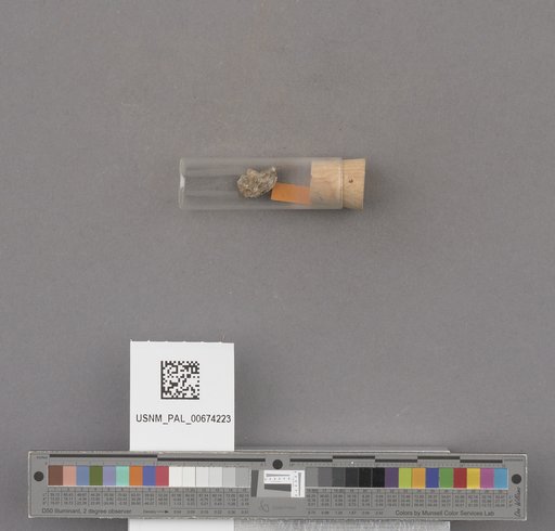 NSF ADBC EPICC TCN