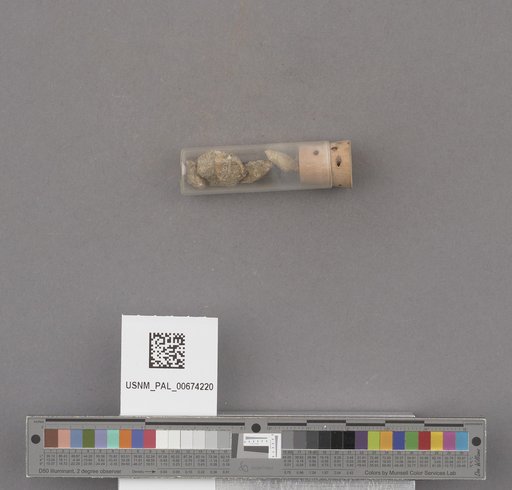 NSF ADBC EPICC TCN