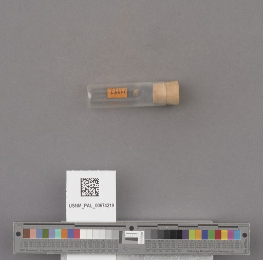 NSF ADBC EPICC TCN