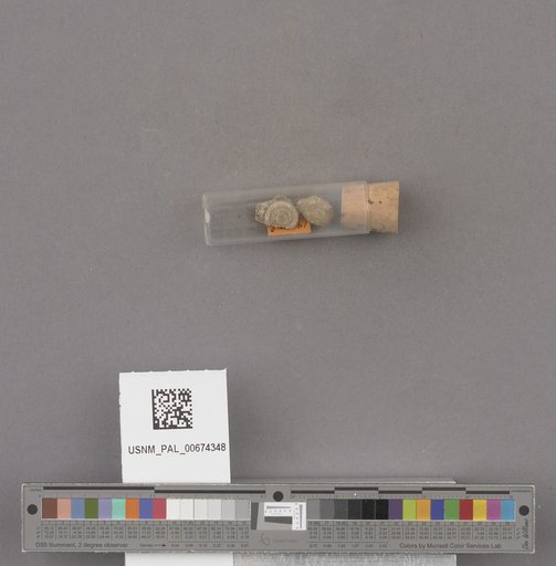 NSF ADBC EPICC TCN