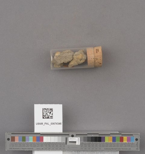 NSF ADBC EPICC TCN