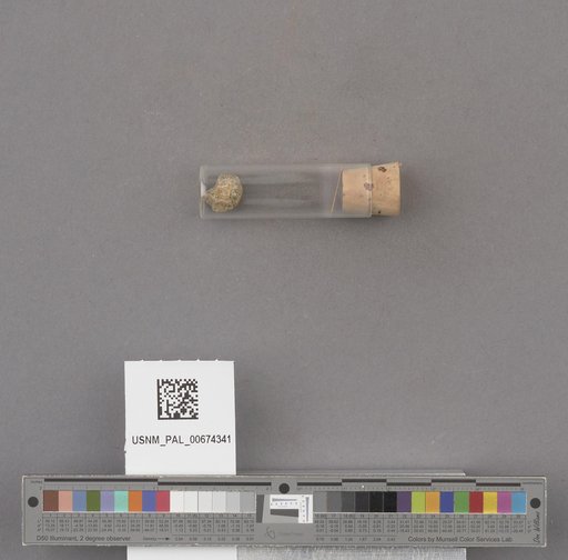 NSF ADBC EPICC TCN