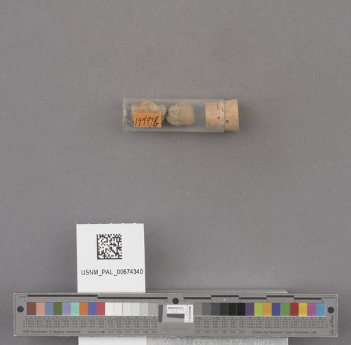 NSF ADBC EPICC TCN