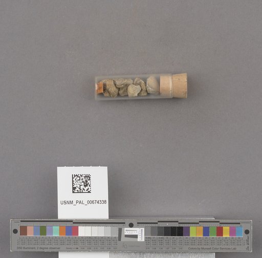NSF ADBC EPICC TCN
