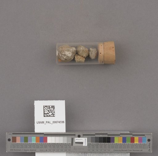 NSF ADBC EPICC TCN