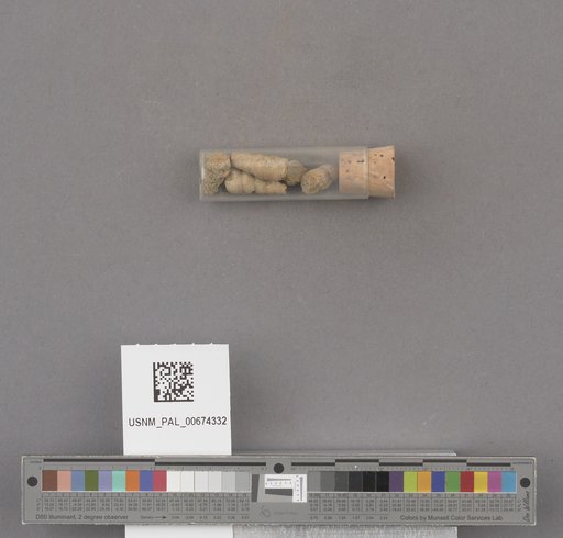 NSF ADBC EPICC TCN